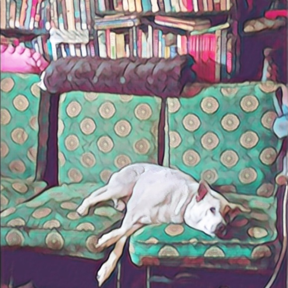 Meet your Posher, KD from NOLA. - Picture 10 of 16